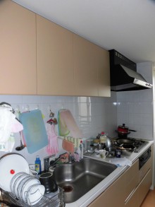 クリナップの最高級キッチンCENTRO